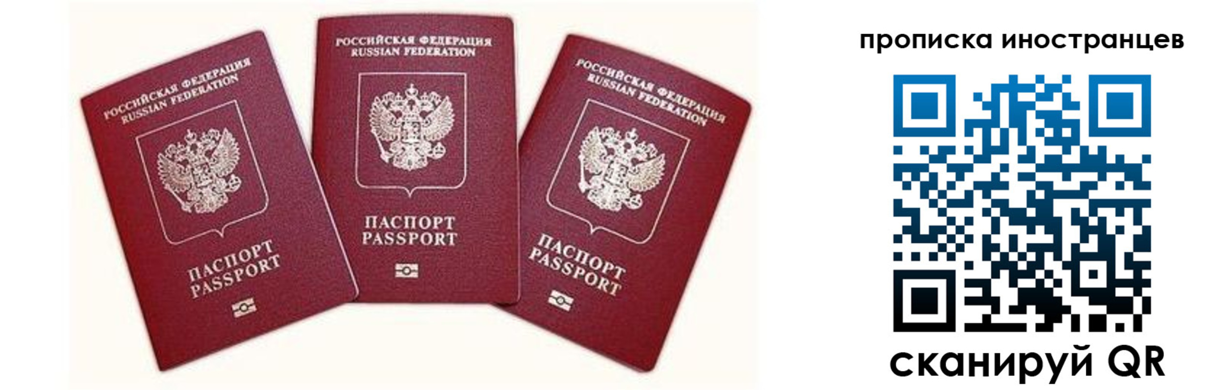 прописка в Борисоглебске