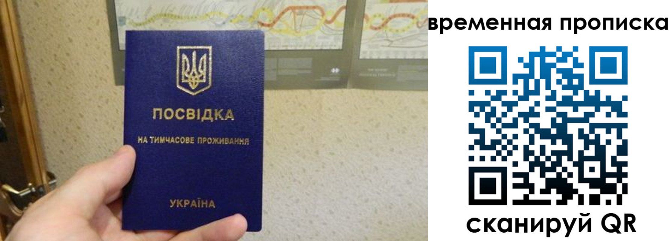 прописка для кредита в Борисоглебске